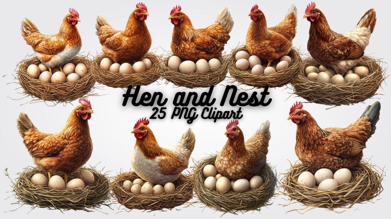 Hen and Nest Clipart: 25 Rustic Farmhouse PNG Images (digital Download ...