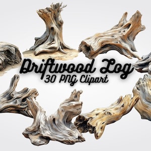 Può includere: Raccolta di tronchi di legno trasportati dalla corrente, di varie forme e dimensioni. I tronchi presentano una texture invecchiata con sfumature grigie, marroni e beige. Il testo "Driftwood Log 30 PNG Clipart" è visibile.
