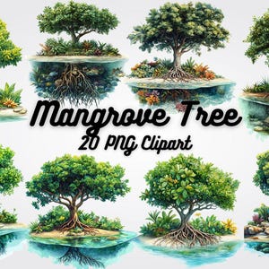 Mangrove Tree Clipart: Coastal Decor PNG Images (Digital Download)