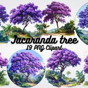 19 Clipart di alberi di Jacaranda, immagini PNG di alta qualità di eleganti alberi di Jacaranda - Perfette per inviti, stampe artistiche e decorazioni botaniche