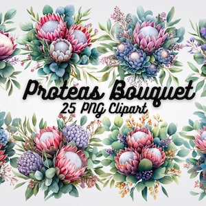 May include: A set of 25 watercolour illustrations of protea flower bouquets. The bouquets are in shades of pink, purple, and blue, with green leaves. The text "Proteas Bouquet 25 PNG Clipart" is written in black.
