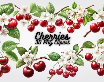 Watercolor Cherry Clipart: PNG Bundle for Summer Decor (Digital Download)