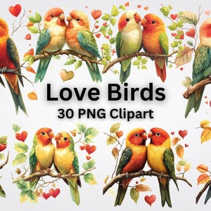 Lovebirds Clipart: Romantic Bird PNGs for Invitations (Digital Download)