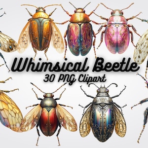 May include: Whimsical Beetle 30 PNG Clipart. A collection of 10 colourful, detailed beetle illustrations with intricate patterns and metallic finishes. The beetles are depicted with wings spread, showcasing their vibrant colours and textures.