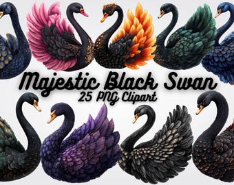 Black Swan Watercolor Clipart: Elegant PNG Graphics (25 Images)