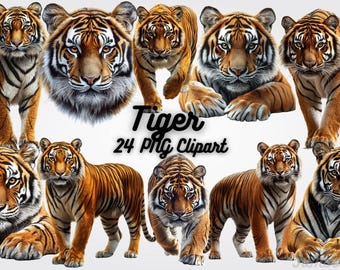 Tiger Clipart PNG: Högupplösta illustrationer av vilda djur (12x12)
