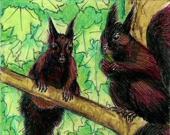 Original Art: "Squirrel Posse", ACEO (Art Card), Wildlife Colored Pencil Drawing, Miniature Art, Trading Card Sized