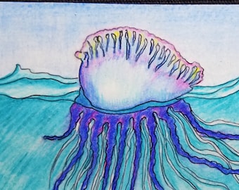 Original Art: "Man-o-War" Jellyfish on the Ocean, Colored Pencil Drawing, ACEO (Art Card), Miniature Art, Trading Card Sized