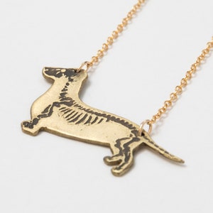 brass dachshund pendant with etched skeleton, at an angle on white background.