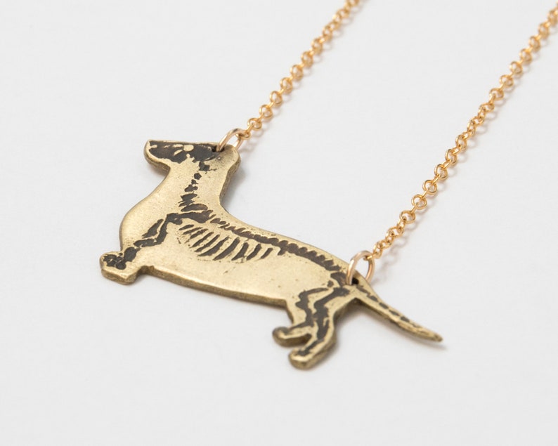 brass dachshund pendant with etched skeleton, at an angle on white background.