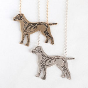 Pit Bull Anatomy, Etched Skeleton Dog Necklace in brass or sterling silver