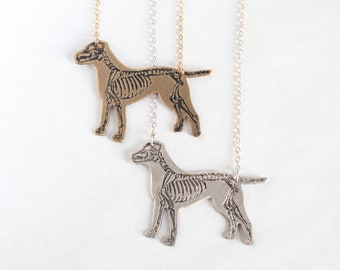 Pit Bull Anatomy, Etched Skeleton Dog Necklace in brass or sterling silver