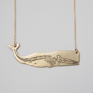 oxidized brass whale pendant with etched skeleton, on a white background