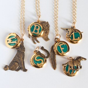 Collar con medallón de foto personalizado con colgante de tema inicial y occidental: búfalo / bisonte, caballo, buey, pluma, cactus, herradura o lobo