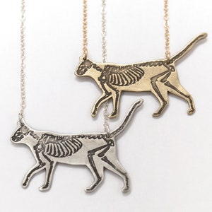 Collier squelette de chat, anatomie gravée en laiton ou en argent sterling