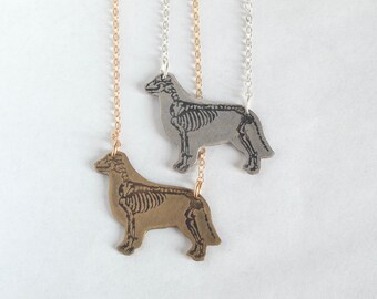 Golden Retriever Skeleton Etched Necklace, in brass or sterling silver