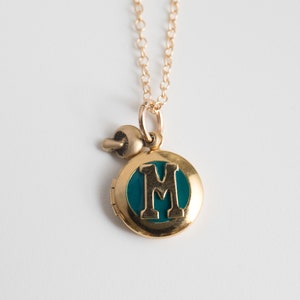 Mushroom Charm Jewelry, Personalized Initial Monogram Jewelry, Hippy Herbalist Necklace, Tiny Photo Locket Single Locket