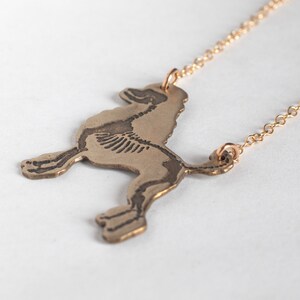 brass poodle silhouette necklace with etched skeleton, shown at an angle on a white background