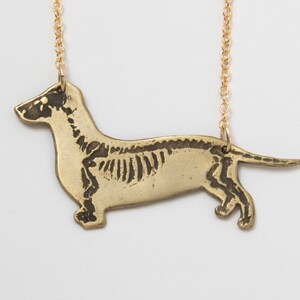 brass dachshund pendant with etched skeleton, close up on white background.