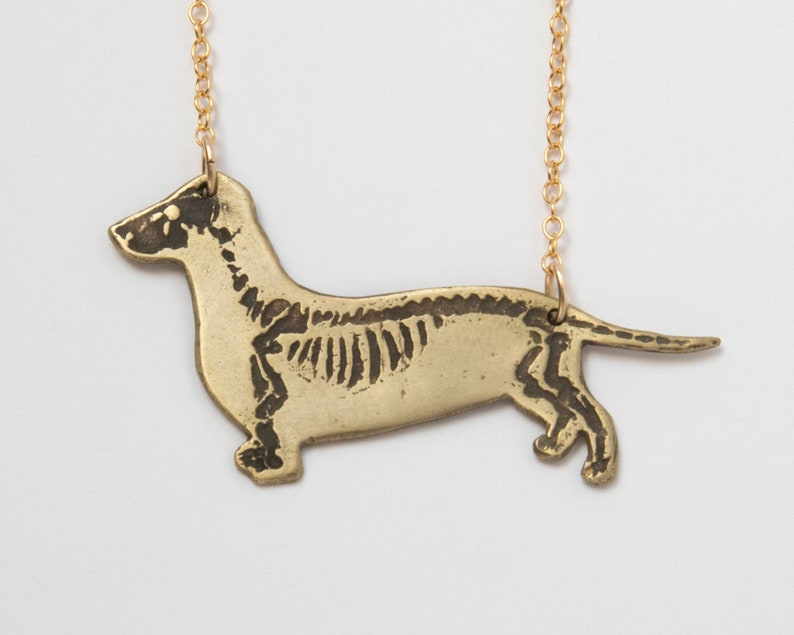 brass dachshund pendant with etched skeleton, close up on white background.