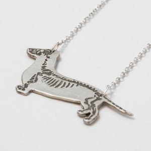 silver dachshund pendant with etched skeleton, at an angle on white background.