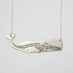 oxidized sterling silver whale pendant with etched skeleton, on a white background