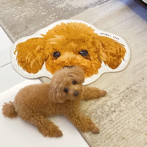 Cute Custom Pet Photo Rug Gift for Pawrent | Personalized Dog Mat | Animal Lover Home Decor | Bed Area Rug | Special Present and Gift