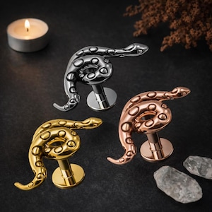 Brinco labret de cobra espiral com rosca interna em aço cirúrgico 316L, com parte traseira plana – disponível em 16G (1,2 mm) – comprimento da barra de 6 mm – brinco de orelha de cobra
