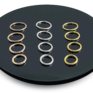 Anello per il naso con segmento incernierato in argento sterling 925 con clicker per setto Daith Hoop 16G/1,2 mm - Argento semplice/placcato oro classico con clicker a segmento