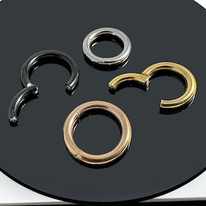 G23 Grade Titanium Segment Clicker Ring Heavy Gauge 10G - Titanium/Gold/Rose Gold/Black PVD 10mm/12mm Minimalist Nose Septum Ring Hinged