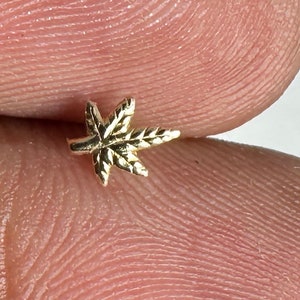 Può includere: Un piccolo ciondolo a forma di foglia di marijuana in oro. La foglia è dettagliata con le venature e ha una superficie testurizzata.