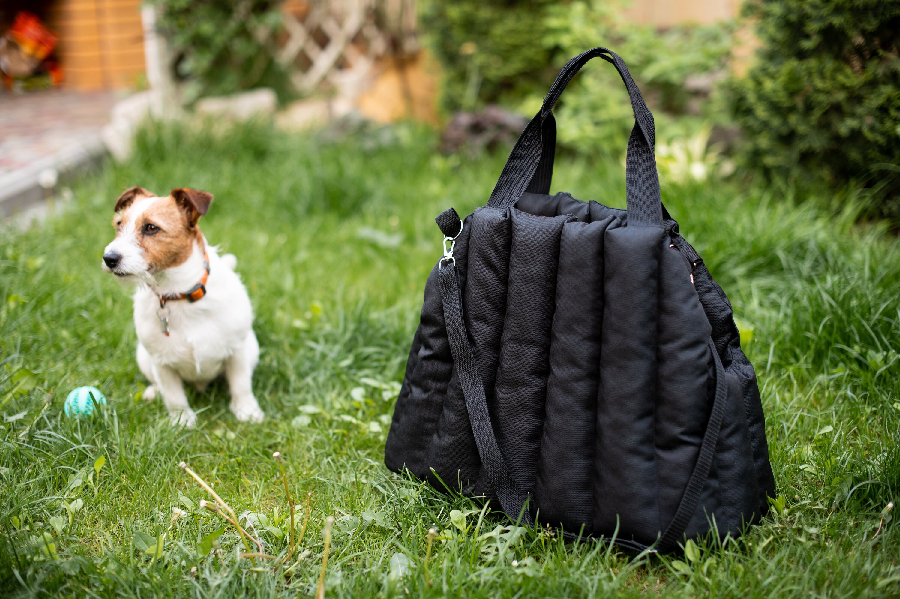 Black dog purse hot sale