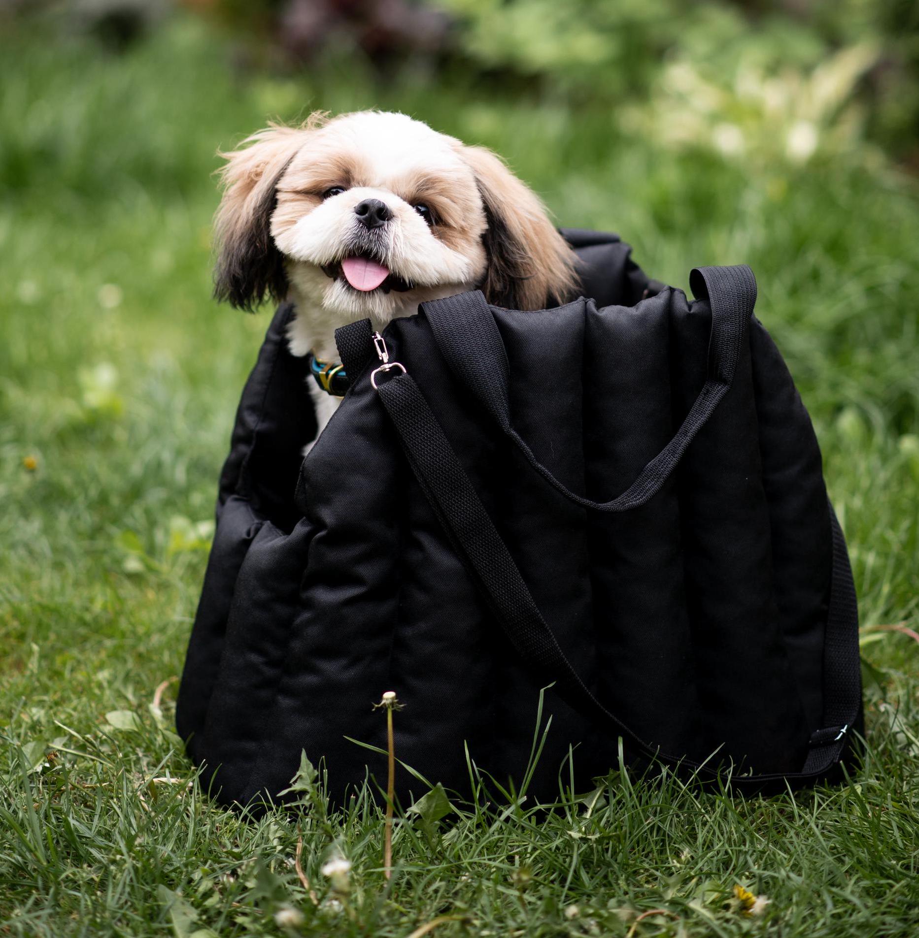 Black Dog Purse Etsy UK