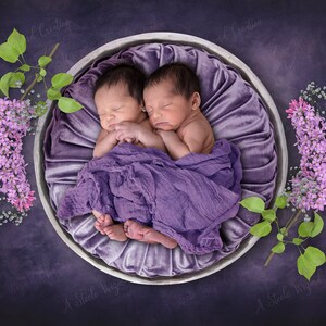 Newborn Digital Background, Lilac Flowers Backdrop, Floral Backdrop, Baby Digital Background, Studio Backdrop, Photoshop Photo Composite