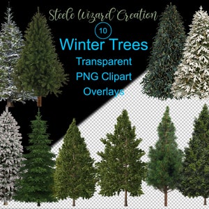Sovrapposizione dell'albero di Natale, sovrapposizioni di alberi di pino innevato Photoshop, Png di alberi di pino, sovrapposizione di Natale, sovrapposizione di luci di Natale invernali