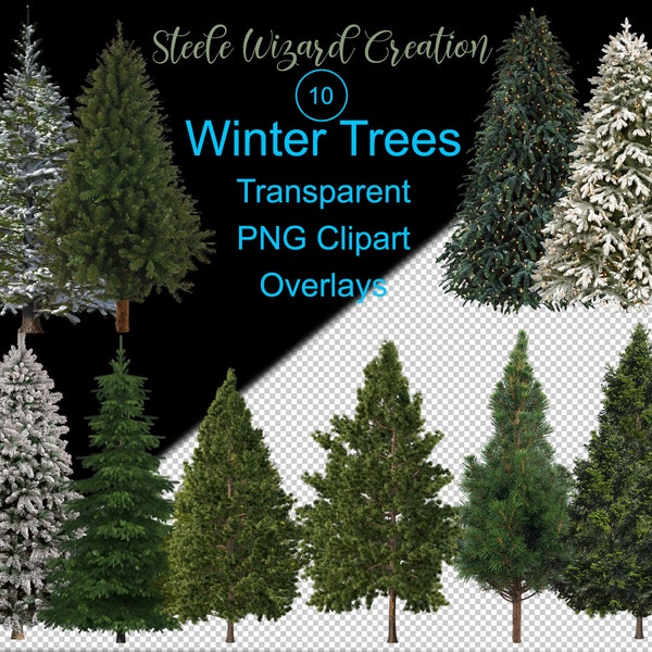 Pine Trees Overlays, Christmas Trees, Evergreen Trees Clipart, Snow Tree, Winter Trees, PNG Clipart, commercial use