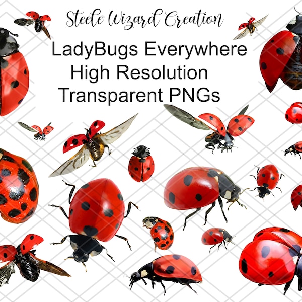 Marienkäfer Clipart, Marienkäfer PNG, Foto zusammengesetzt, Sommer Clipart, Lady Bird, Love Bug Clipart, kommerzielle Nutzung Digital Overlays