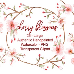 K&ouml;nnte beinhalten: Eine Aquarell-Illustration von 26 Kirschbl&uuml;ten in verschiedenen Bl&uuml;hstadien. Die Bl&uuml;ten sind rosa und wei&szlig; mit gr&uuml;nen Bl&auml;ttern und braunen Zweigen. Der Text "cherry blossoms" ist in roter Kursivschrift geschrieben. Der Text "26 - Large Authentic Handpainted Watercolor - PNG Transparent Clipart" ist in roter serifenloser Schrift geschrieben.