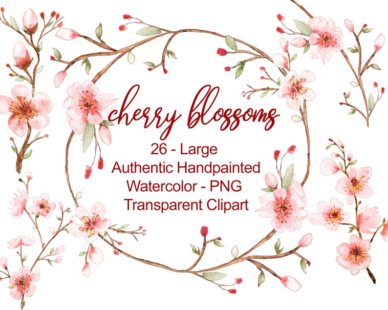 K&ouml;nnte beinhalten: Eine Aquarell-Illustration von 26 Kirschbl&uuml;ten in verschiedenen Bl&uuml;hstadien. Die Bl&uuml;ten sind rosa und wei&szlig; mit gr&uuml;nen Bl&auml;ttern und braunen Zweigen. Der Text "cherry blossoms" ist in roter Kursivschrift geschrieben. Der Text "26 - Large Authentic Handpainted Watercolor - PNG Transparent Clipart" ist in roter serifenloser Schrift geschrieben.