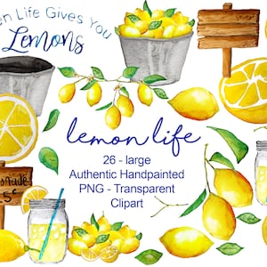 Watercolor Lemon Clipart, Summer Lemons, Hand Painted Illustration digital clip art, Lemonade Jar, Summer Clipart, PNG commercial use