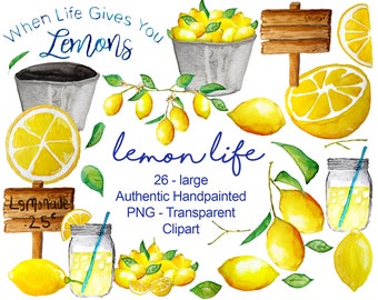 Watercolor Lemon Clipart, Summer Lemons, Hand Painted Fruit Citrus Bouquet Clipart, Lemonade Jar, Summer Clipart, PNG commercial use