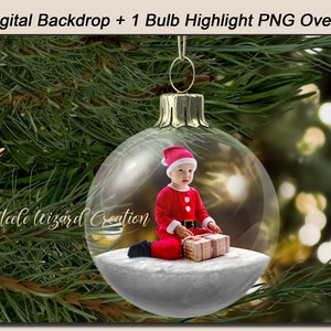 Christmas Ornament Digital Backdrop Background, Snow Globe, Christmas Tree Lights, Photo Composite, Photography Prop