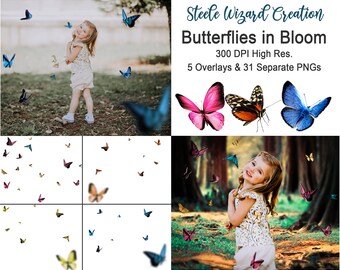 Butterfly Overlay, Butterflies Overlays, Butterfly Clipart, Blue Butterflies, Photoshop Butterfly, Photo PNG Clipart, commercial use