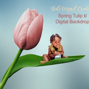 Lente bloemen achtergrond, tulp digitale achtergrond, roze tulp bloem achtergrond, Pasen digitale achtergrond, Photoshop composiet