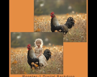 Fondo digital de gallo para fotografía, fondo de granja caprichoso, fondo compuesto infantil, campo de flores silvestres de la hora dorada, 20 x 16, 300 DPI