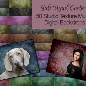 Texture 50 Digital Backdrops Collection, Digital Backgrounds, For Senior Portraits, Pet Photography - Instant Download