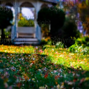 Fall Autumn Digital Background, Autumn Digital Backdrop, Realistic Outdoor Sunny Day Background, Gazebo Background, Summer Background