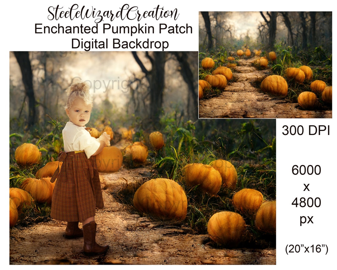 Pumpkin Patch Digital Background Autumn Backdrop Fall - Etsy