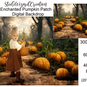 Pumpkin Patch Digital Background, Autumn Backdrop, Fall Digital Backdrop, Halloween Pumpkin Patch on a Path in Enchanted Forest