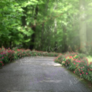 Flower Path Digital Backdrop, Spring backdrop, Trails, Dreamy Path, Summer Digital Backdrop, Photoshop, PSE - Instant Download